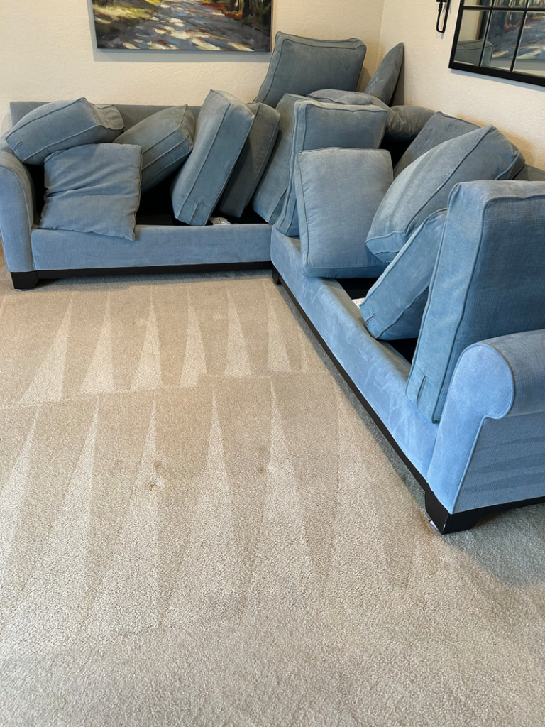 Upholstery cleaning, fabric cleaning,